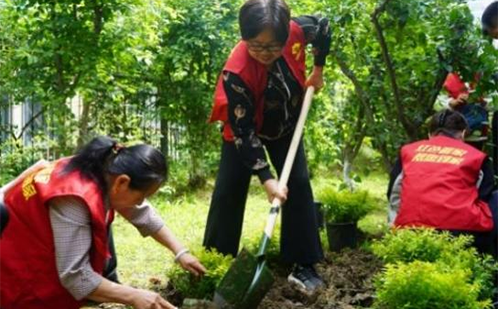 新奥门原料免费